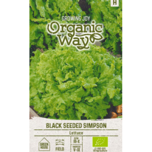 Salat Black Seeded Simpson (Mahe)