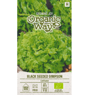 Salat Black Seeded Simpson (Mahe)