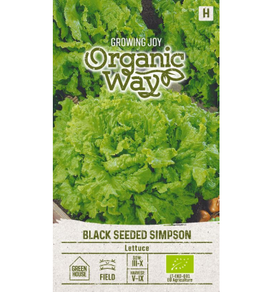 Salat Black Seeded Simpson (Mahe)