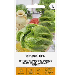 Salat Crunchita*