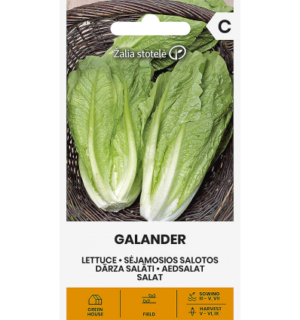 Salat Galander*