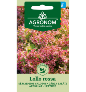 Aedsalat Lollo rossa
