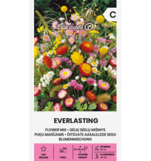 lillesegu-everlasting