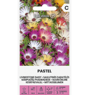 Suureõieline keskpäevalill Pastel