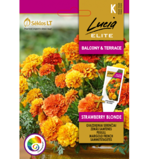 peiulill-tagetes-strawberry-blonde