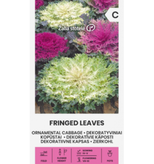 Dekoratiivkapsas Fringed Leaves