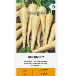 Pastinaak Guernsey