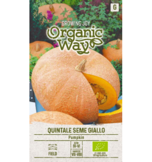 Kõrvits Quintale Seme Giallo Mahe