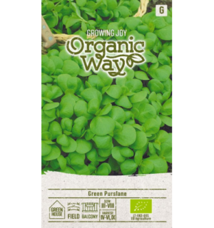 Harilik portulak Green Purslane mahe