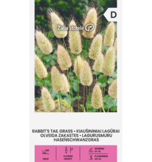 Jänesesaba e. lagurus ovatus