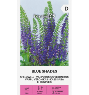 kassi-saba-blue-shades