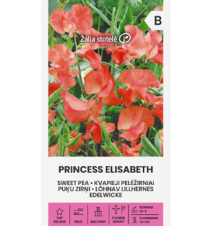 Lõhnav lillhernes Princess Elisabeth