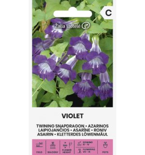 Roniv asariin Violet*7