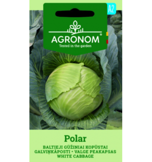 Valge peakapsas Polar*6