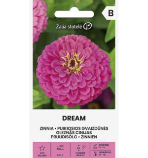 Pruudisõlg zinnia Dream*6