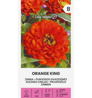 Pruudisõlg Orange King