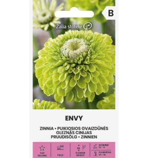 Pruudisõlg Envy