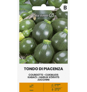 Suvikõrvits Tondo Di Piacenza