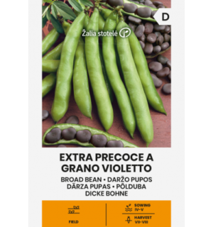Põlduba Extra Precoce A Grano Violetto