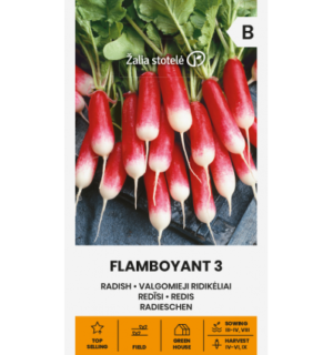 Redis Flamboyant 3
