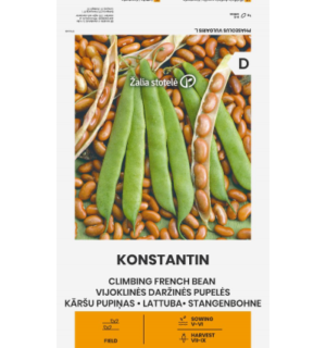 Lattuba Konstantin*