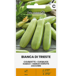 Suvikõrvits Bianca Di Trieste*5