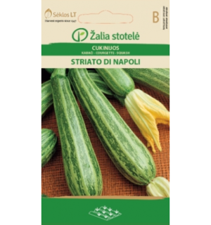 Suvikõrvits Striato Di Napoli