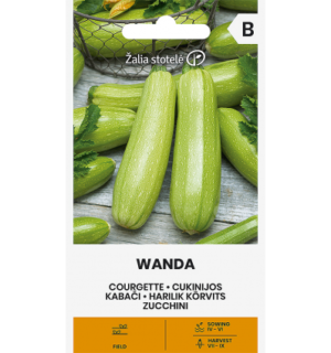 Suvikõrvits Wanda