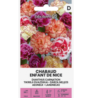 nelk-chabaud enfant-de-nice