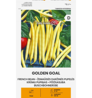 Põõsasuba Golden Goal*6
