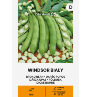 pold-uba-windsor-bialy