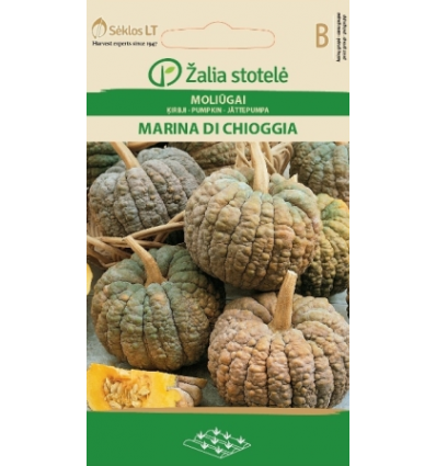 Kõrvits Marina Di Chioggia