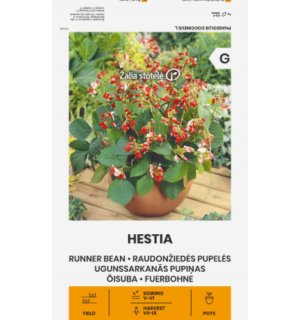 Roniuba Hestia