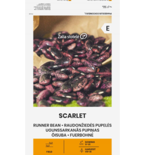Õisuba Scarlet