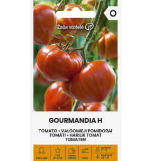 Tomat Gourmandia H
