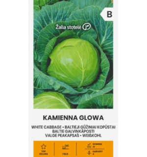 Kapsas Kamienna Glowa*6