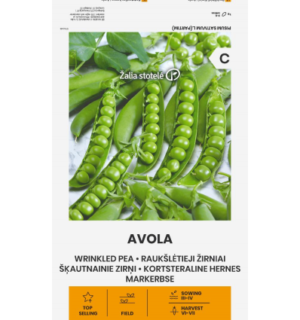 Hernes Avola