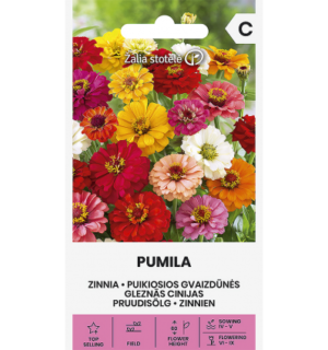 Pruudisõlg Pumila*7