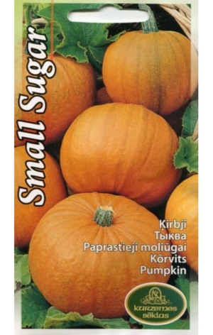Kõrvits Small Sugar