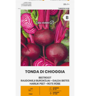 Harilik peet Tonda Di Chioggia*7