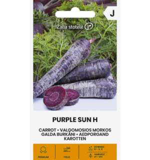 Porgand Purple Sun F1