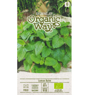 Sidrunmeliss Lemon Balm