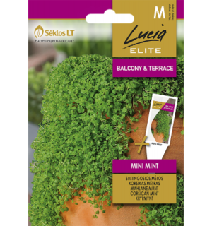 Mahlane münt Mini Mint