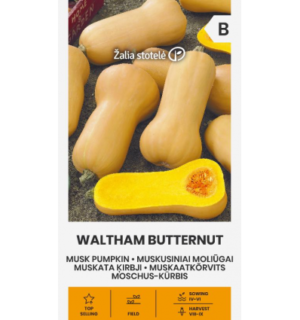 Muskaatkõrvits(keegelkõrvits) Waltham Butternut