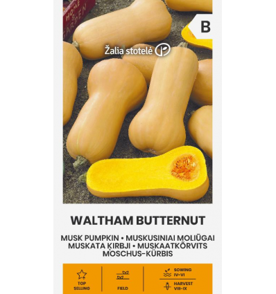 Muskaatkõrvits(keegelkõrvits) Waltham Butternut