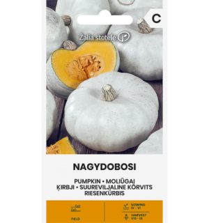 Suureviljaline kõrvits Nagydobosi