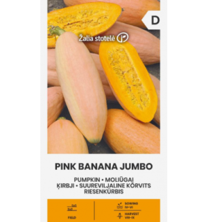 Suureviljaline kõrvits Pink Banana Jumbo