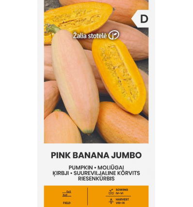 Suureviljaline kõrvits Pink Banana Jumbo