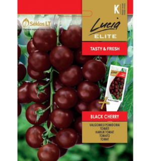 Tomat Black Cherry
