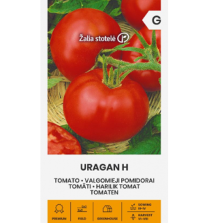 Tomat Uragan H